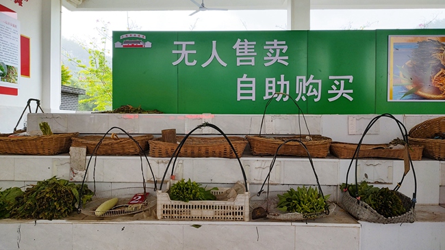 放眼望去，自助菜攤滿滿地放著二三十個菜籃子，籃子里都擺上了各種時令蔬菜。永定區(qū)委組織部供圖