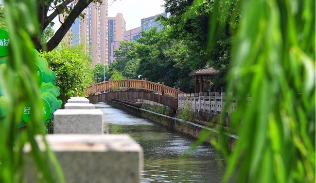 整治后的君竹河。馬尾區(qū)河長辦供圖