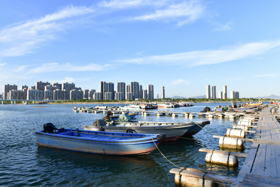 避風塢內，漁船有序進港避風。夏海濱攝