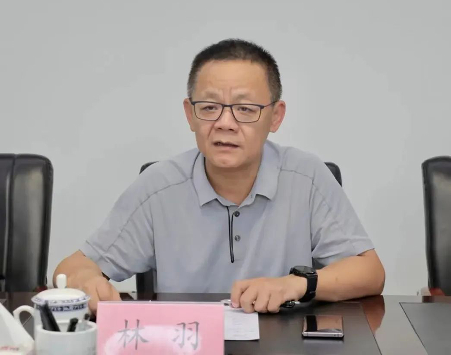 林羽。資料圖