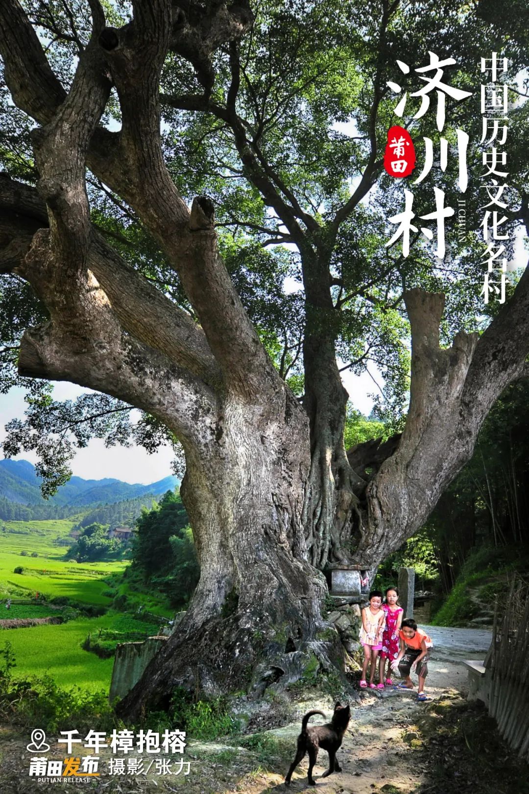 千年樟抱榕，一種樟榕共生的植物奇觀，樟樹植于唐宋時(shí)期，至今已有1000多歲，樹干一分為二，中間夾生著一株清代的榕樹，約有300多歲，二者合為一體，樹干腰圍達(dá)18米，樹高約32米，如擎天大傘，遮天蔽日。