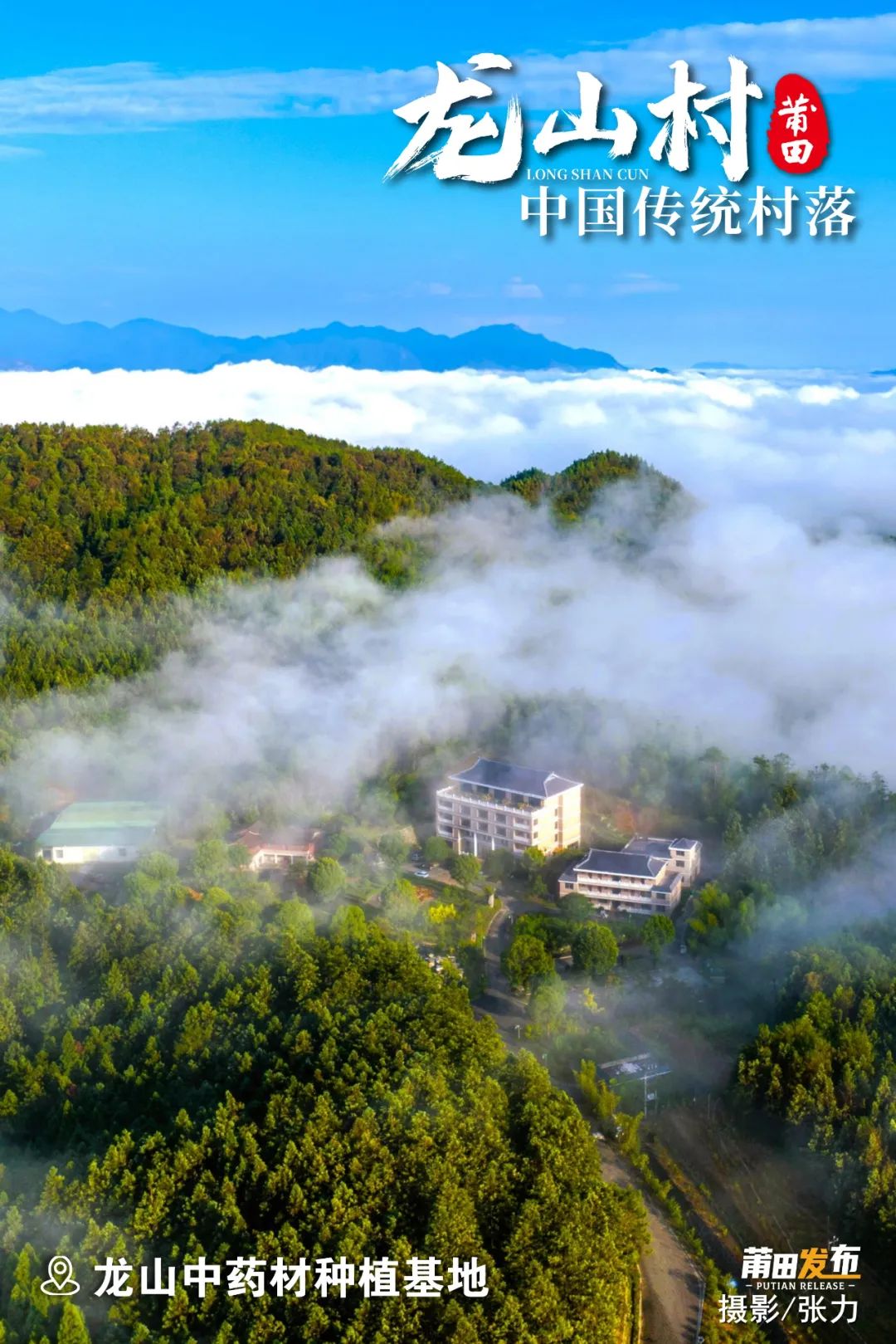 龍山中藥材種植基地，原是龍山村集體林場，基地內(nèi)森林康養(yǎng)資源豐富，植物種類豐富。目前，已培育白花大薊、南天竹、黃精等10多種，中草藥材1000多畝，完成2000多種中藥材標(biāo)本制作，被列入“國家級林下經(jīng)濟(jì)示范基地”“全國休閑農(nóng)業(yè)與鄉(xiāng)村旅游示范點(diǎn)”是福建省最大青草藥植物標(biāo)本科普基地。