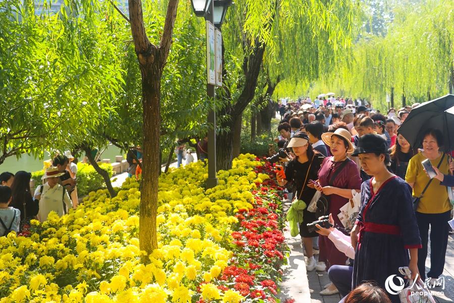 福州西湖金秋菊花展吸引市民及游客踏秋賞菊。人民網(wǎng)記者 林曉麗 攝
