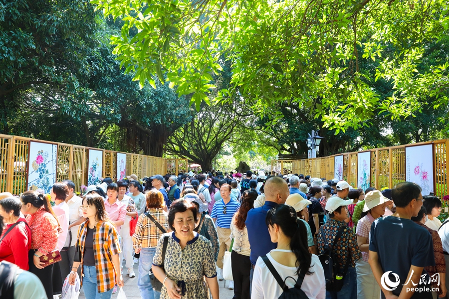 福州西湖金秋菊花展吸引市民及游客踏秋賞菊。人民網(wǎng)記者 焦艷攝