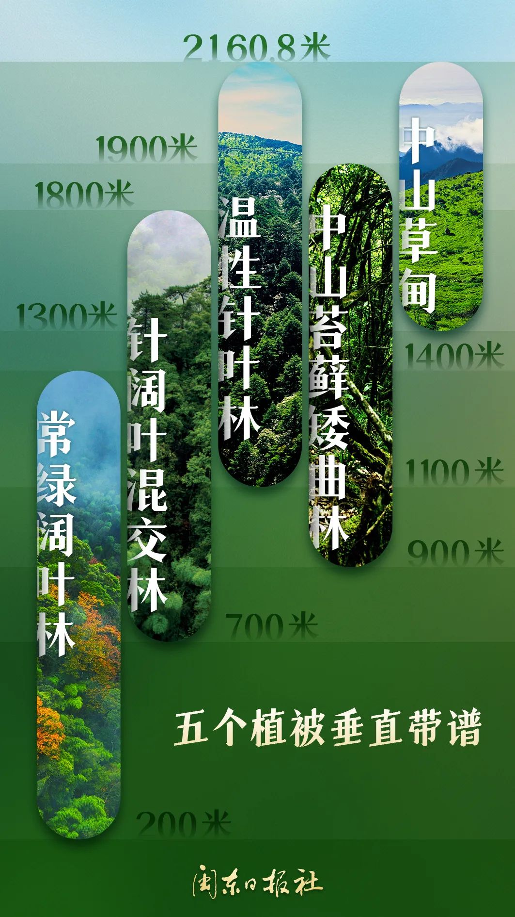 武夷山保存著世界同緯度帶最完整、最典型、面積最大的中亞熱帶原生性森林生態(tài)系統(tǒng)。