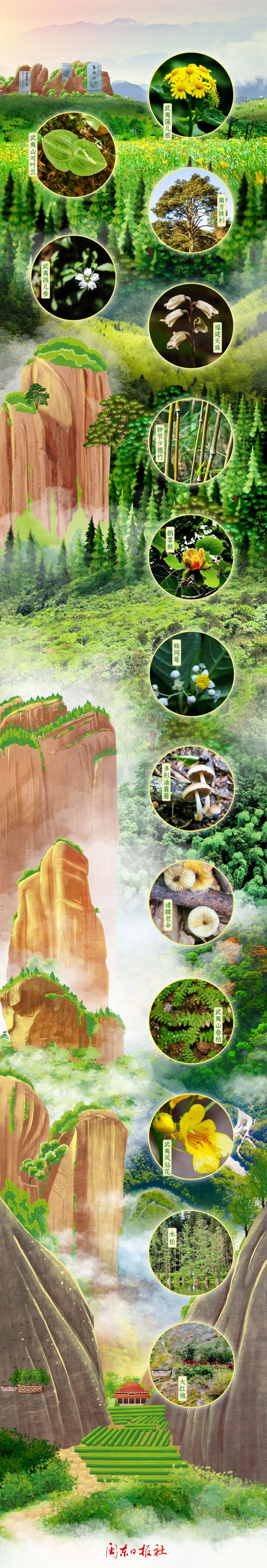 武夷山是珍稀、特有野生動(dòng)植物的基因庫(kù)。