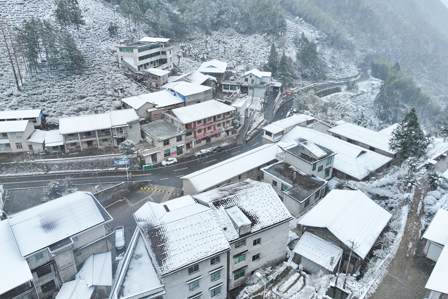 南平建陽區(qū)黃坑鎮(zhèn)坳頭村大雪紛飛。吳大灼 攝