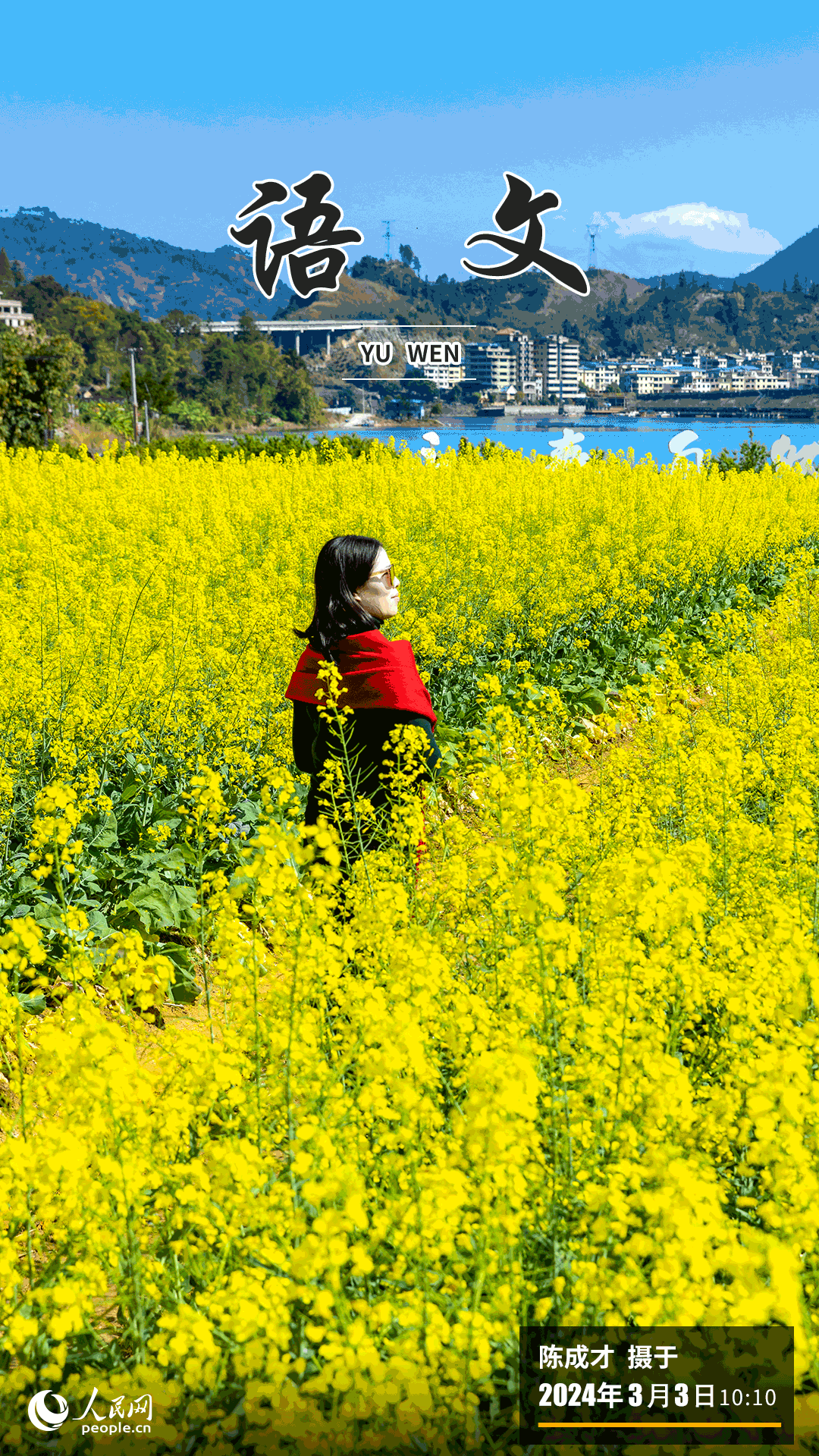 進入三月，福州市永泰縣赤錫鄉(xiāng)的油菜花田迎春綻放，金黃的花海洋溢著醉人的春意，美不勝收，吸引不少游客踏青賞花。