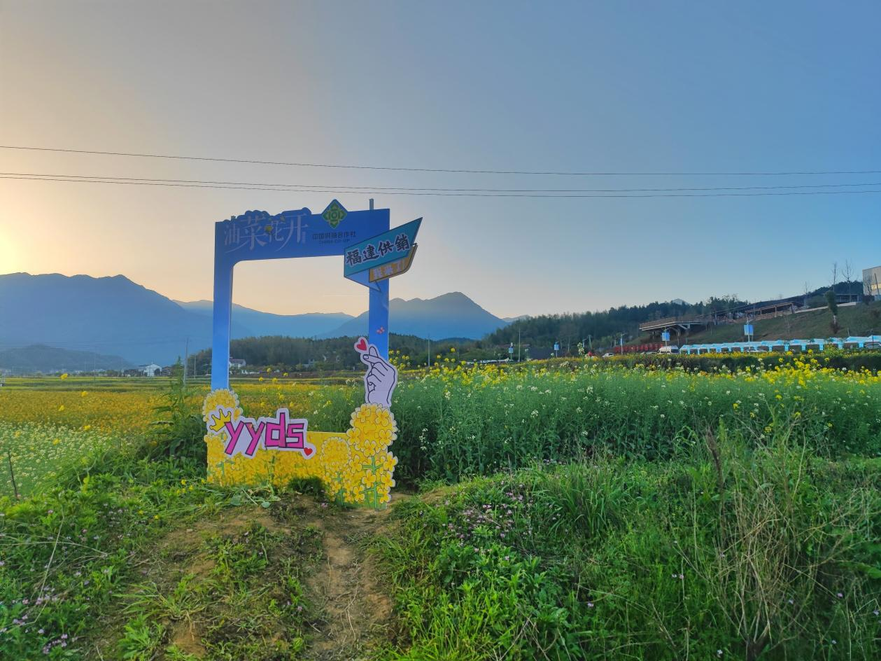 供銷打卡點(diǎn)。
