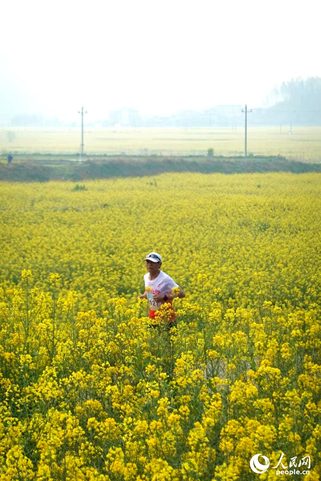 跑步愛好者花海中開跑。人民網(wǎng) 楊灝昱攝