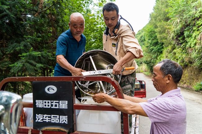 謝君與蜂農(nóng)一起在收割蜂蜜。將樂(lè)縣融媒體中心供圖