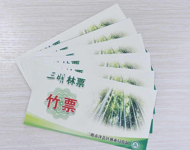竹票票樣。許琰攝