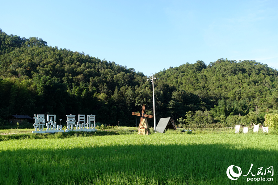 蛟湖村的喜月廬露營基地里，綠色稻田郁郁蔥蔥。人民網(wǎng) 謝星宇攝