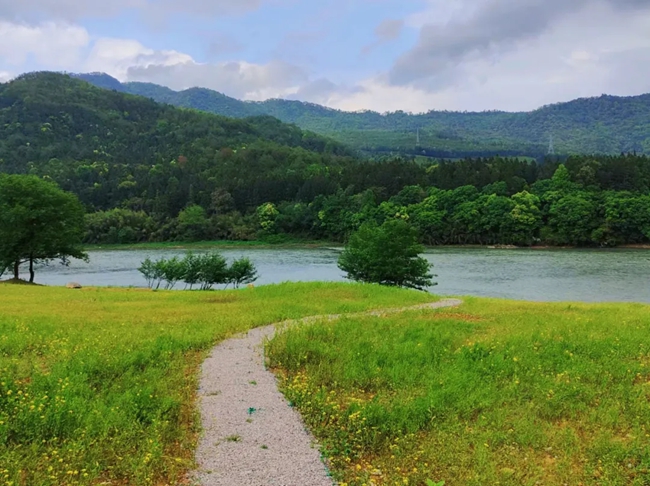 崇陽溪武夷山段生態(tài)巡護(hù)綠道。