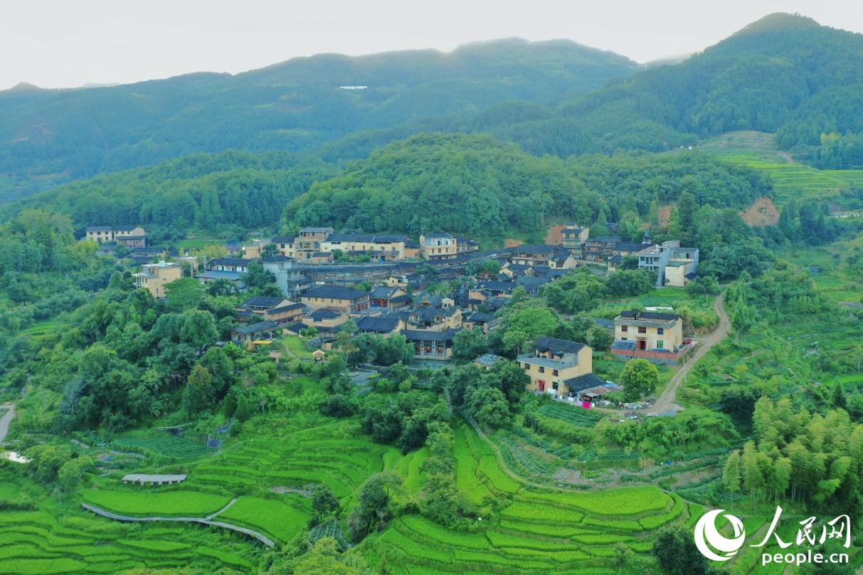 四坪村。人民網(wǎng)記者 蘭志飛攝