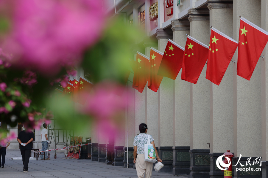 艷麗的廈門“市花”三角梅與紅旗相映。人民網(wǎng)記者 陳博攝