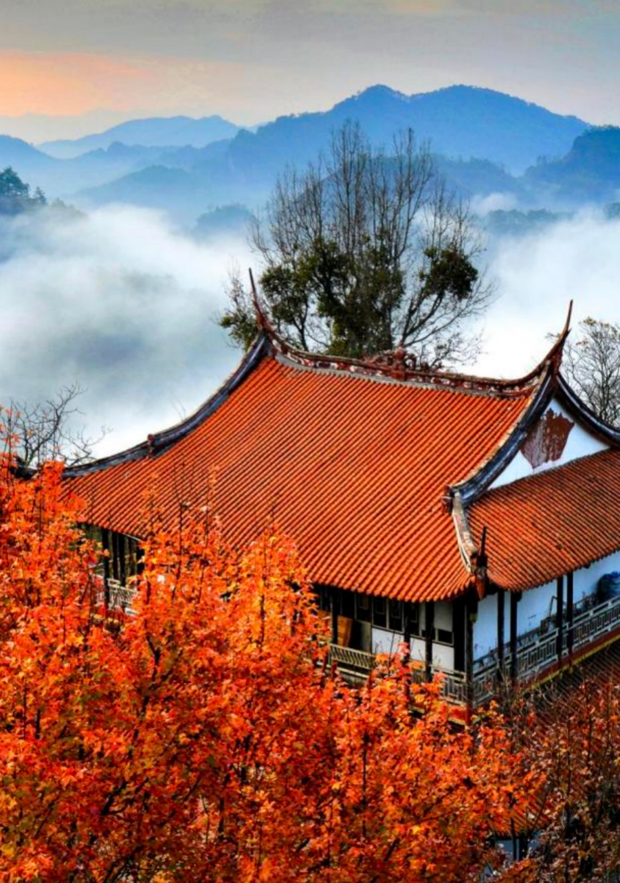 被楓葉染紅的武夷山一角。陳美中 攝