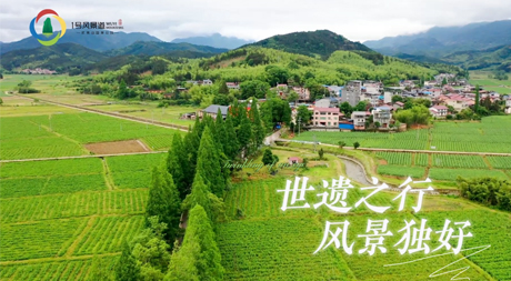 《世遺之行，風(fēng)景獨(dú)好》每一處風(fēng)景，都蘊(yùn)藏詩(shī)意，每一次變化，都充滿驚喜，讓我們?cè)谶@里靜聽(tīng)世遺1號(hào)風(fēng)景道上發(fā)生的美好故事。</p