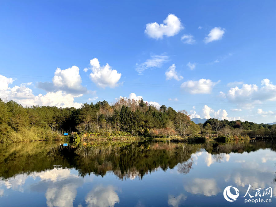 長(zhǎng)汀汀江國(guó)家濕地公園。人民網(wǎng) 謝星宇攝