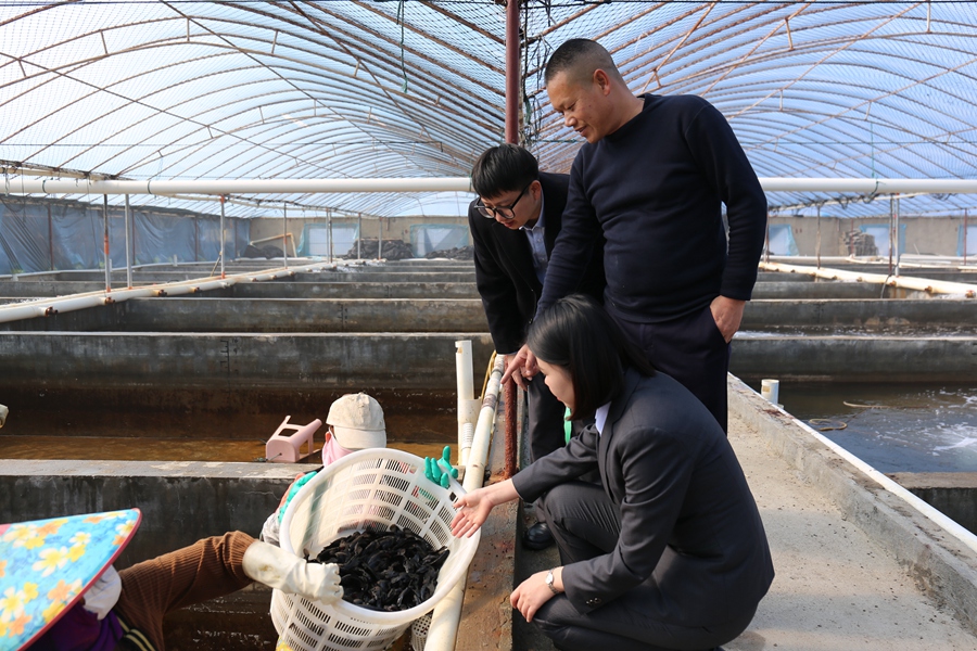養(yǎng)殖戶吳壽藝向農(nóng)行客戶經(jīng)理介紹新購買魚苗情況。黃瑞金攝