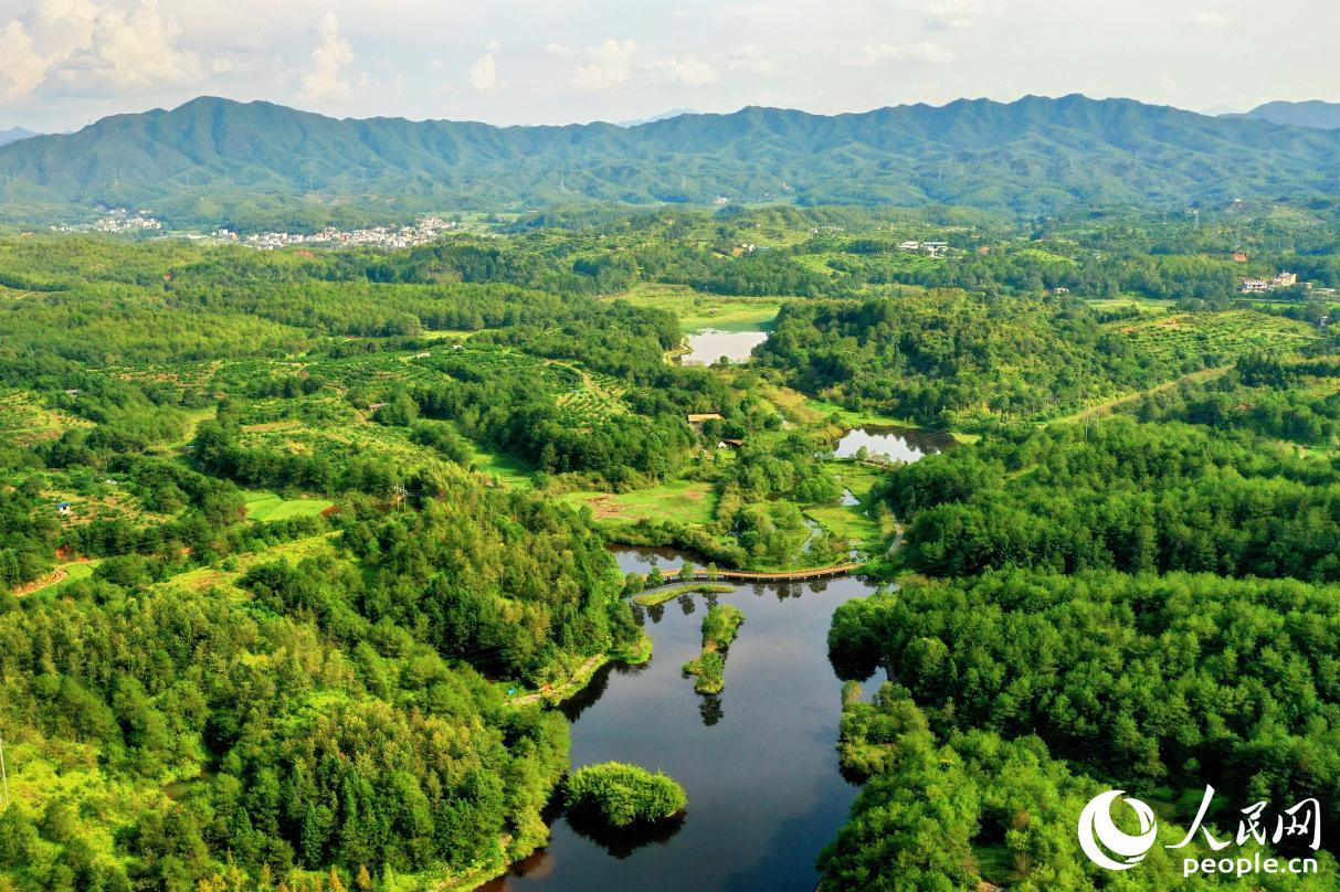 汀江國(guó)家濕地公園。人民網(wǎng) 李唯一攝