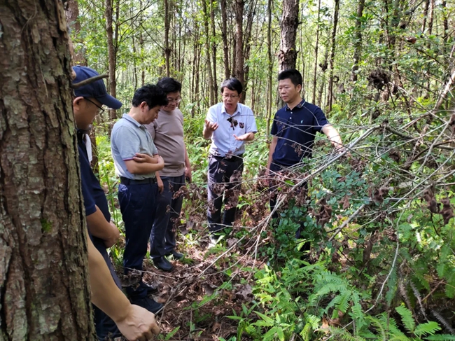長汀縣水土保持中心開展現(xiàn)場調(diào)研