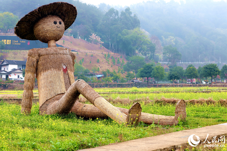 花田中的稻草造景憨態(tài)可掬。華安縣融媒體中心供圖