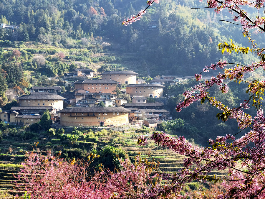 漳州是世界文化遺產(chǎn)福建土樓的主要聚集地之一。謝威攝