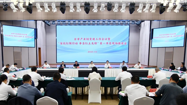 會議現(xiàn)場。武平縣委組織部供圖