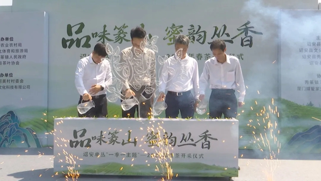 詔安縣委副書記張宸琿、副縣長楊俊乾與秀篆鎮(zhèn)、縣茶葉協(xié)會負責人共同完成“水潤茶苗”澆筑儀式