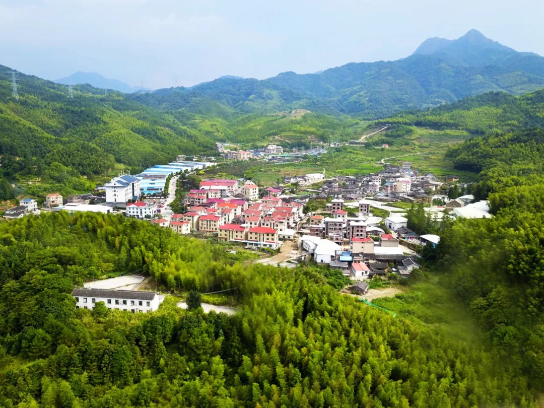 竹茶產(chǎn)業(yè)助力新羅區(qū)小池鎮(zhèn)培斜村“富起來”
