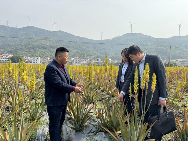 工作人員深入種植園了解企業(yè)需求。農(nóng)行莆田荔城支行供圖