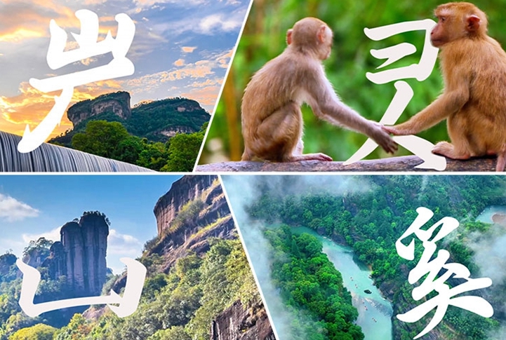 何以中國(guó)丨藏在武夷山的“野生”漢字