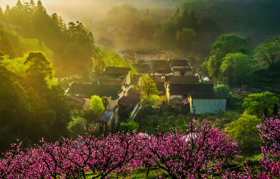 大橋鎮(zhèn)丘地村桃花