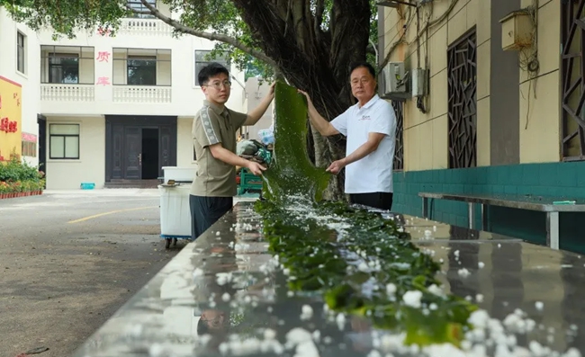 煮熟后的“無邊海帶”
