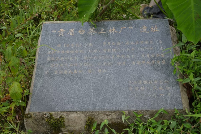 “貢眉白茶上林廠”遺址。建陽區(qū)融媒體中心供圖
