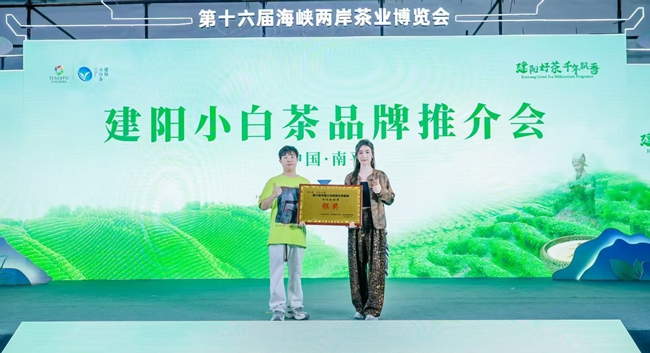 水仙白牡丹榮獲第三屆中國(guó)小白茶茶王爭(zhēng)霸賽銀獎(jiǎng)。建陽(yáng)區(qū)融媒體中心供圖