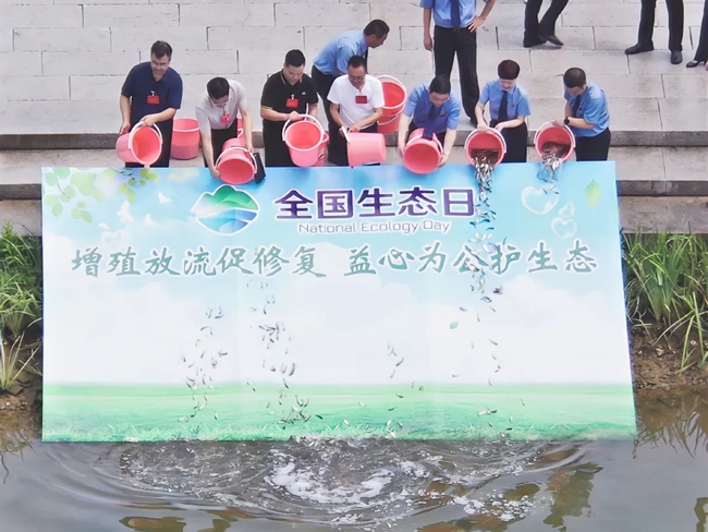 增殖放流活動