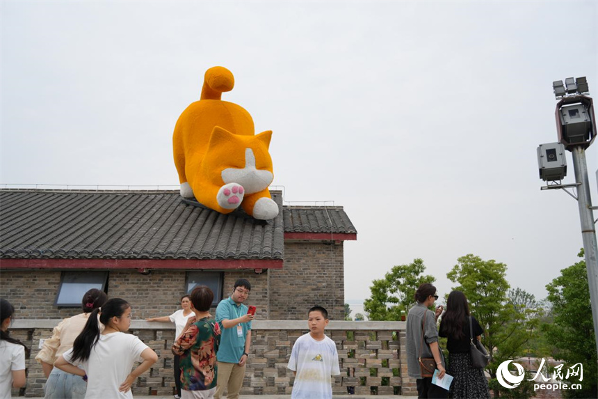 橘貓趴在屋頂憨態(tài)可掬。人民網(wǎng) 劉汕攝
