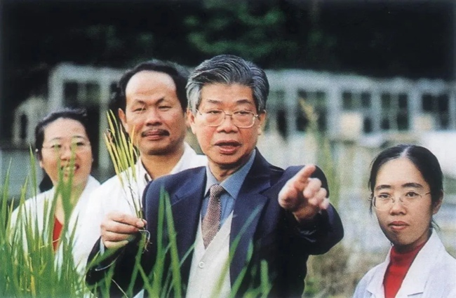 謝聯(lián)輝帶領(lǐng)團(tuán)隊(duì)開展水稻病毒防控研究（資料圖）