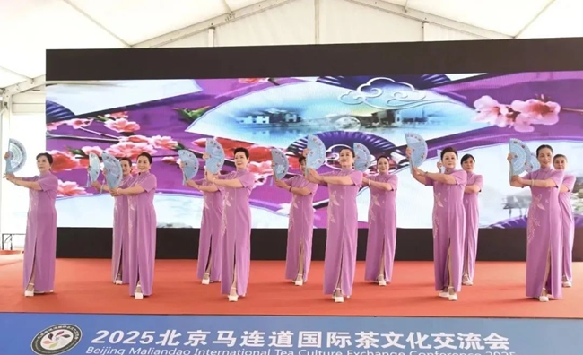 表演環(huán)節(jié)