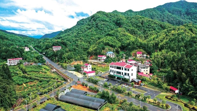 武平捷文村莽莽群山成為林農(nóng)的“幸福靠山”