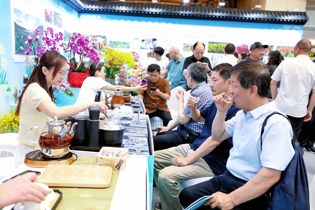 游客品嘗周寧高山云霧茶。湯文娟攝