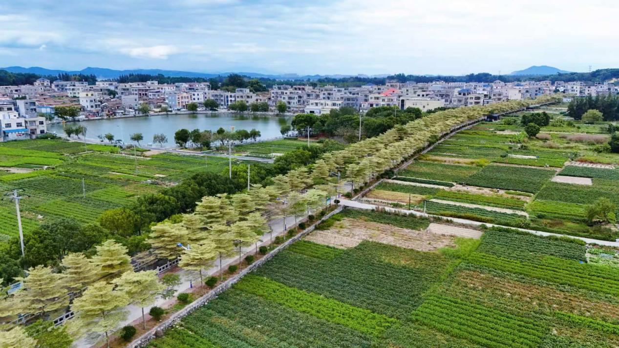 堅持生態(tài)公益林地“占一補一”，推進復(fù)綠固沙