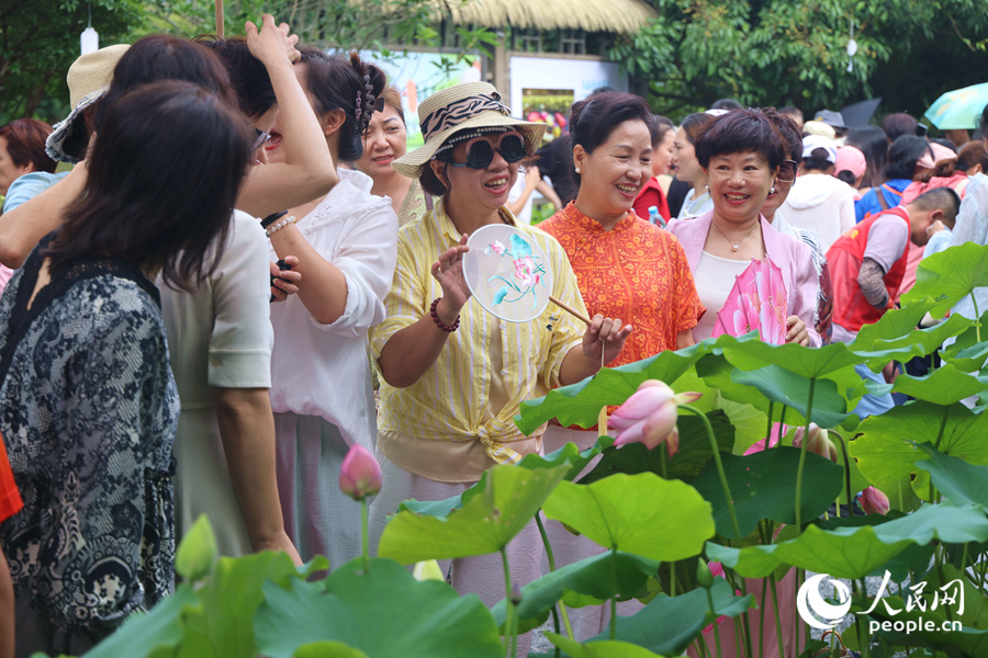 盛開的蓮花深受市民游客青睞。人民網(wǎng)記者 陳博攝