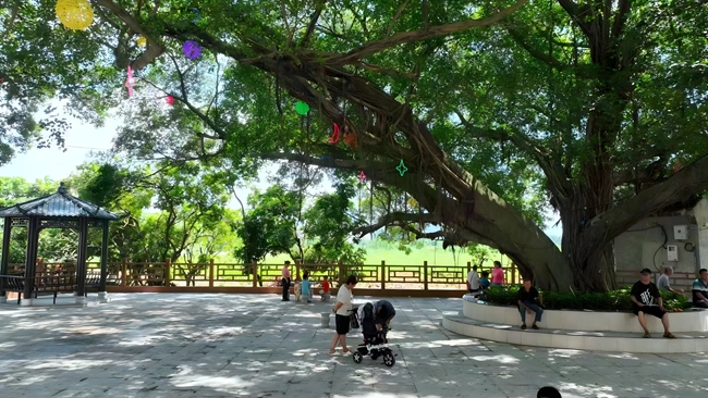 公園里，市民在樹下漫步