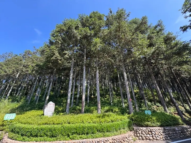 黃振芳家庭林場