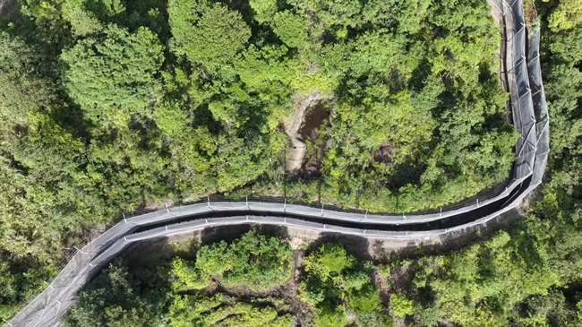 梅花山華南虎繁育野化訓(xùn)練基地