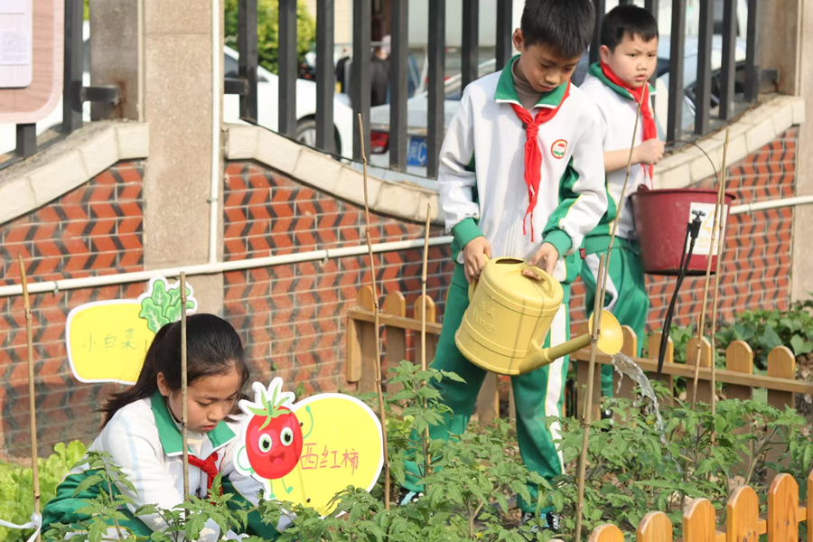 泉州市新華中心小學(xué)學(xué)生在“綠芽”紅領(lǐng)巾勞動(dòng)園地開展課間活動(dòng)。泉州市新華中心小學(xué)供圖