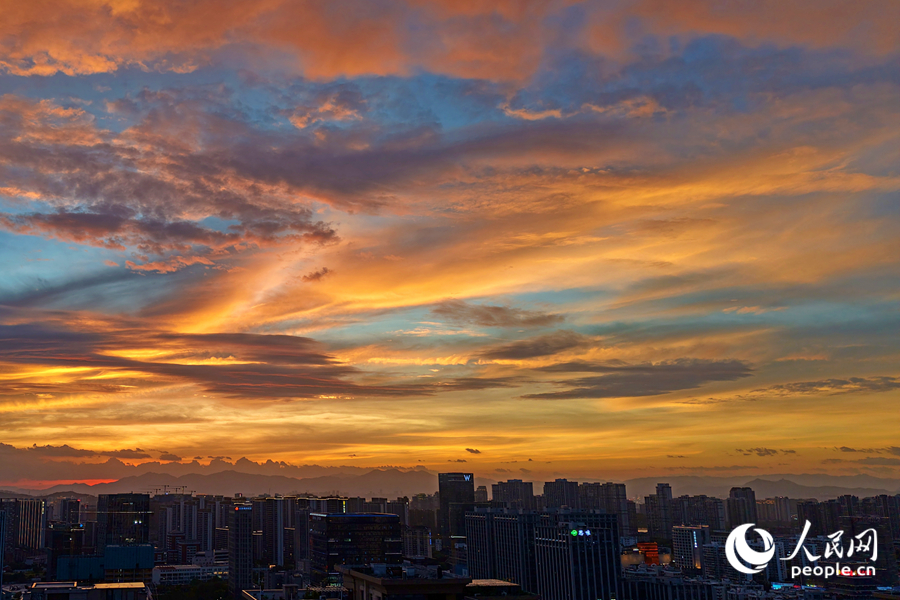 廈門(mén)軟件園二期上空滿(mǎn)目金黃。人民網(wǎng)記者 陳博攝